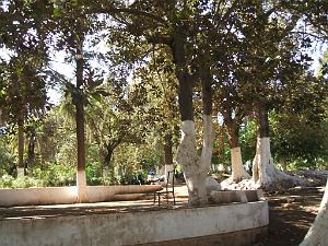 OCTOBRE 2007 AIN TEMOUCHENT JARDIN PUBLIC 051